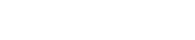 Custom Logo